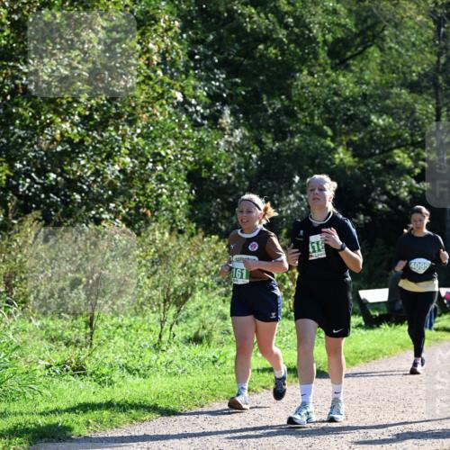 27.09.2026 - 35. Volkslauf durch das schöne Alstertal Dr. Thomas Lammeyer http://msf.ph/oto/10568783 27.09.2026 10:54:39 Laufen 161, 4095 meine-sportfotos.de