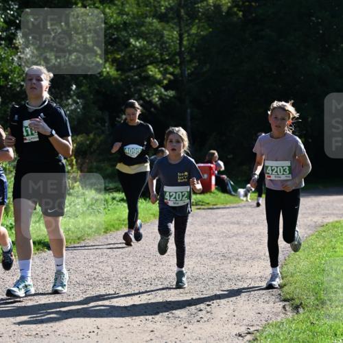 27.09.2026 - 35. Volkslauf durch das schöne Alstertal Dr. Thomas Lammeyer http://msf.ph/oto/10568785 27.09.2026 10:54:40 Laufen 110, 4095, 4203, 4202 meine-sportfotos.de
