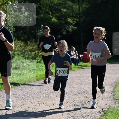 27.09.2026 - 35. Volkslauf durch das schöne Alstertal Dr. Thomas Lammeyer http://msf.ph/oto/10568791 27.09.2026 10:54:40 Laufen 4095, 4203, 4202 meine-sportfotos.de