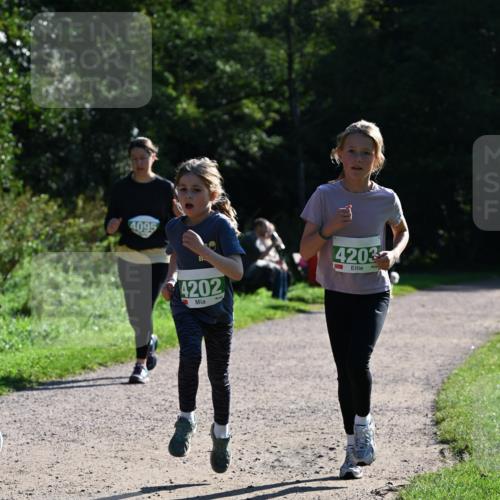 27.09.2026 - 35. Volkslauf durch das schöne Alstertal Dr. Thomas Lammeyer http://msf.ph/oto/10568792 27.09.2026 10:54:40 Laufen 4095, 4202, 4203 meine-sportfotos.de