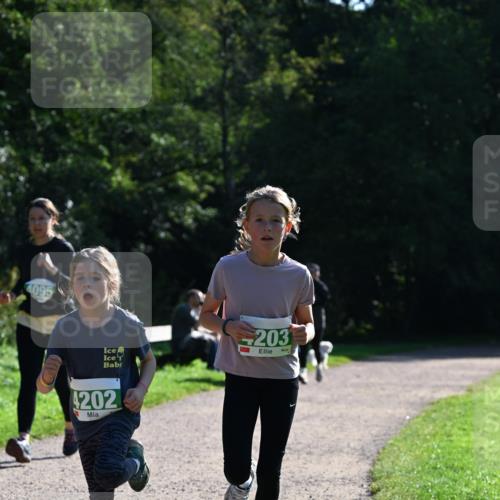 27.09.2026 - 35. Volkslauf durch das schöne Alstertal Dr. Thomas Lammeyer http://msf.ph/oto/10568794 27.09.2026 10:54:41 Laufen 4095, 203, 4202 meine-sportfotos.de