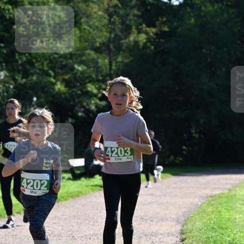 27.09.2026 - 35. Volkslauf durch das schöne Alstertal Dr. Thomas Lammeyer http://msf.ph/oto/10568795 27.09.2026 10:54:41 Laufen 09, 4203, 4202 meine-sportfotos.de