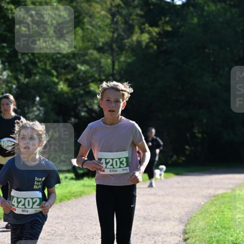 27.09.2026 - 35. Volkslauf durch das schöne Alstertal Dr. Thomas Lammeyer http://msf.ph/oto/10568796 27.09.2026 10:54:41 Laufen 4203, 4202 meine-sportfotos.de