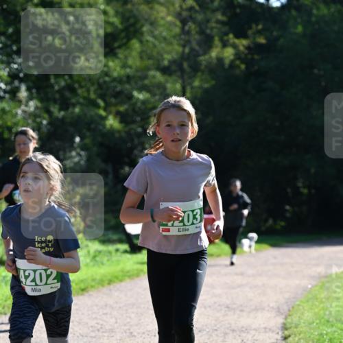 27.09.2026 - 35. Volkslauf durch das schöne Alstertal Dr. Thomas Lammeyer http://msf.ph/oto/10568797 27.09.2026 10:54:41 Laufen 203, 4202 meine-sportfotos.de