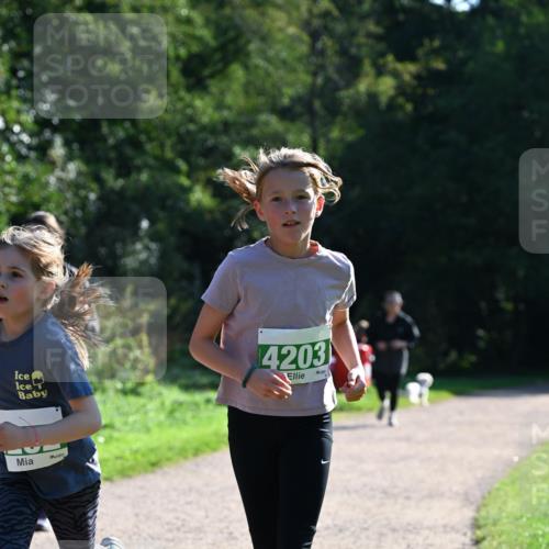 27.09.2026 - 35. Volkslauf durch das schöne Alstertal Dr. Thomas Lammeyer http://msf.ph/oto/10568798 27.09.2026 10:54:41 Laufen 4203 meine-sportfotos.de