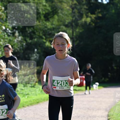 27.09.2026 - 35. Volkslauf durch das schöne Alstertal Dr. Thomas Lammeyer http://msf.ph/oto/10568800 27.09.2026 10:54:41 Laufen 02, 4203 meine-sportfotos.de