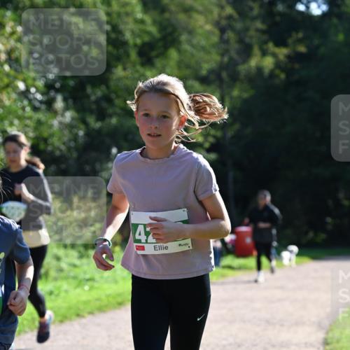 27.09.2026 - 35. Volkslauf durch das schöne Alstertal Dr. Thomas Lammeyer http://msf.ph/oto/10568801 27.09.2026 10:54:41 Laufen 42 meine-sportfotos.de
