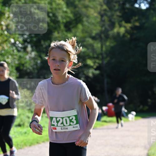 27.09.2026 - 35. Volkslauf durch das schöne Alstertal Dr. Thomas Lammeyer http://msf.ph/oto/10568802 27.09.2026 10:54:42 Laufen 4203 meine-sportfotos.de