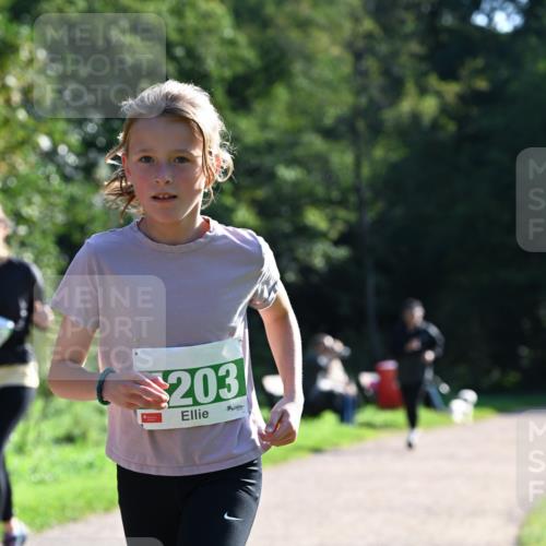 27.09.2026 - 35. Volkslauf durch das schöne Alstertal Dr. Thomas Lammeyer http://msf.ph/oto/10568804 27.09.2026 10:54:42 Laufen 203 meine-sportfotos.de
