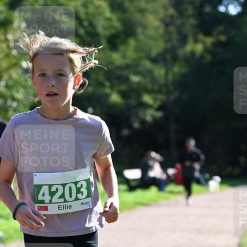 27.09.2026 - 35. Volkslauf durch das schöne Alstertal Dr. Thomas Lammeyer http://msf.ph/oto/10568805 27.09.2026 10:54:42 Laufen 4203 meine-sportfotos.de