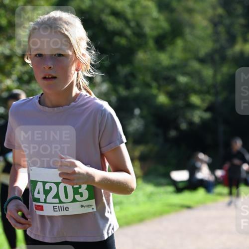 27.09.2026 - 35. Volkslauf durch das schöne Alstertal Dr. Thomas Lammeyer http://msf.ph/oto/10568806 27.09.2026 10:54:42 Laufen 4203 meine-sportfotos.de