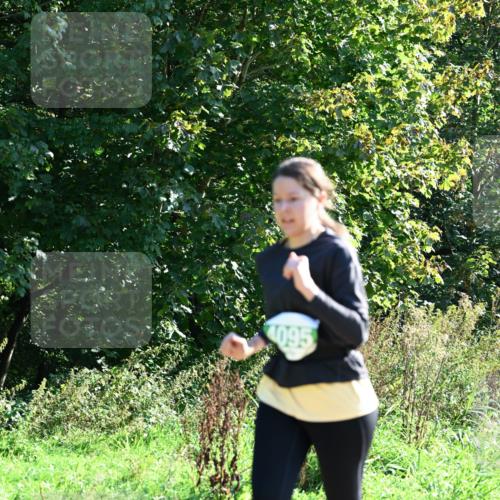 27.09.2026 - 35. Volkslauf durch das schöne Alstertal Dr. Thomas Lammeyer http://msf.ph/oto/10568810 27.09.2026 10:54:43 Laufen 4095 meine-sportfotos.de