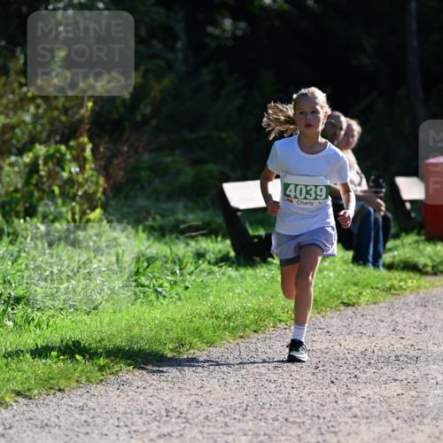 27.09.2026 - 35. Volkslauf durch das schöne Alstertal Dr. Thomas Lammeyer http://msf.ph/oto/10568818 27.09.2026 10:54:52 Laufen 4039 meine-sportfotos.de