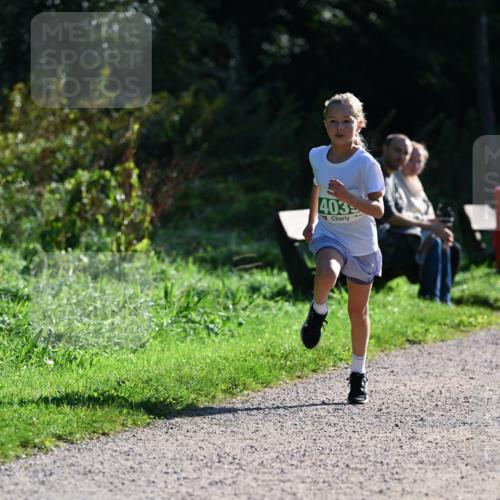 27.09.2026 - 35. Volkslauf durch das schöne Alstertal Dr. Thomas Lammeyer http://msf.ph/oto/10568819 27.09.2026 10:54:52 Laufen 403 meine-sportfotos.de