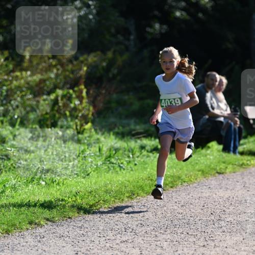 27.09.2026 - 35. Volkslauf durch das schöne Alstertal Dr. Thomas Lammeyer http://msf.ph/oto/10568820 27.09.2026 10:54:52 Laufen 4039 meine-sportfotos.de