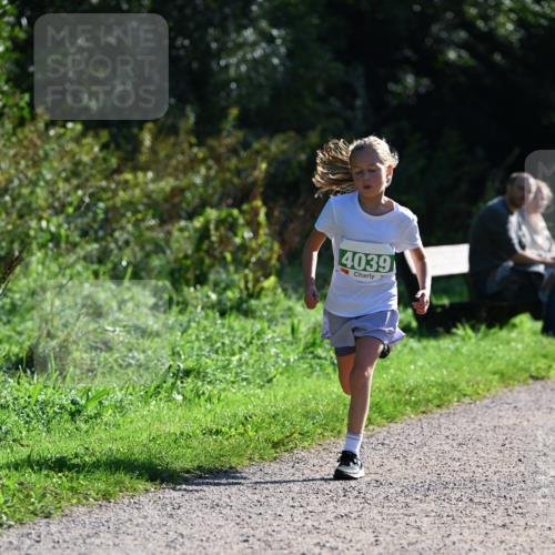 27.09.2026 - 35. Volkslauf durch das schöne Alstertal Dr. Thomas Lammeyer http://msf.ph/oto/10568824 27.09.2026 10:54:52 Laufen 4039 meine-sportfotos.de