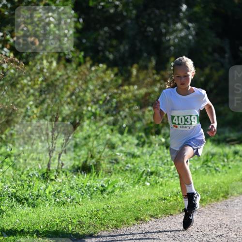 27.09.2026 - 35. Volkslauf durch das schöne Alstertal Dr. Thomas Lammeyer http://msf.ph/oto/10568829 27.09.2026 10:54:53 Laufen 4039 meine-sportfotos.de