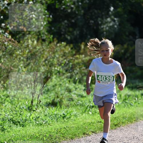 27.09.2026 - 35. Volkslauf durch das schöne Alstertal Dr. Thomas Lammeyer http://msf.ph/oto/10568830 27.09.2026 10:54:53 Laufen 4039 meine-sportfotos.de