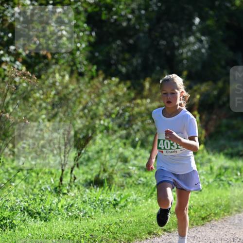 27.09.2026 - 35. Volkslauf durch das schöne Alstertal Dr. Thomas Lammeyer http://msf.ph/oto/10568831 27.09.2026 10:54:53 Laufen 403 meine-sportfotos.de