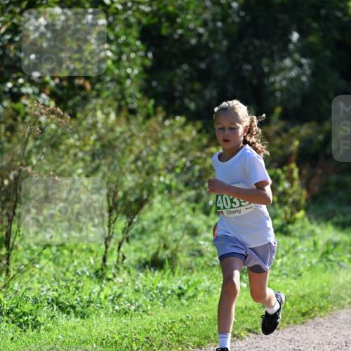 27.09.2026 - 35. Volkslauf durch das schöne Alstertal Dr. Thomas Lammeyer http://msf.ph/oto/10568832 27.09.2026 10:54:53 Laufen 403 meine-sportfotos.de