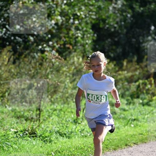 27.09.2026 - 35. Volkslauf durch das schöne Alstertal Dr. Thomas Lammeyer http://msf.ph/oto/10568836 27.09.2026 10:54:53 Laufen 4039 meine-sportfotos.de