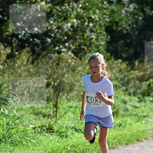 27.09.2026 - 35. Volkslauf durch das schöne Alstertal Dr. Thomas Lammeyer http://msf.ph/oto/10568837 27.09.2026 10:54:54 Laufen 403 meine-sportfotos.de