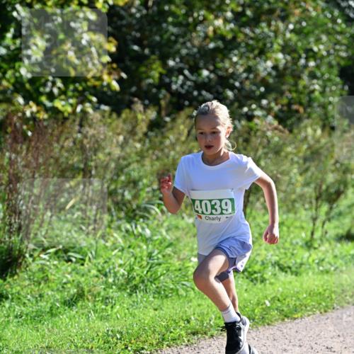 27.09.2026 - 35. Volkslauf durch das schöne Alstertal Dr. Thomas Lammeyer http://msf.ph/oto/10568841 27.09.2026 10:54:54 Laufen 4039 meine-sportfotos.de