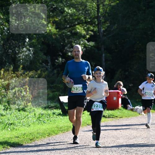 27.09.2026 - 35. Volkslauf durch das schöne Alstertal Dr. Thomas Lammeyer http://msf.ph/oto/10568879 27.09.2026 10:55:08 Laufen 4236, 4237, 4050 meine-sportfotos.de