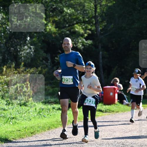 27.09.2026 - 35. Volkslauf durch das schöne Alstertal Dr. Thomas Lammeyer http://msf.ph/oto/10568881 27.09.2026 10:55:08 Laufen 4236, 4237 meine-sportfotos.de