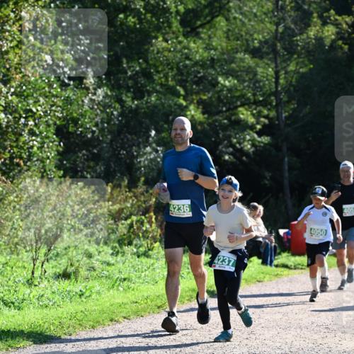 27.09.2026 - 35. Volkslauf durch das schöne Alstertal Dr. Thomas Lammeyer http://msf.ph/oto/10568886 27.09.2026 10:55:09 Laufen 4236, 4237, 4050, 4051 meine-sportfotos.de