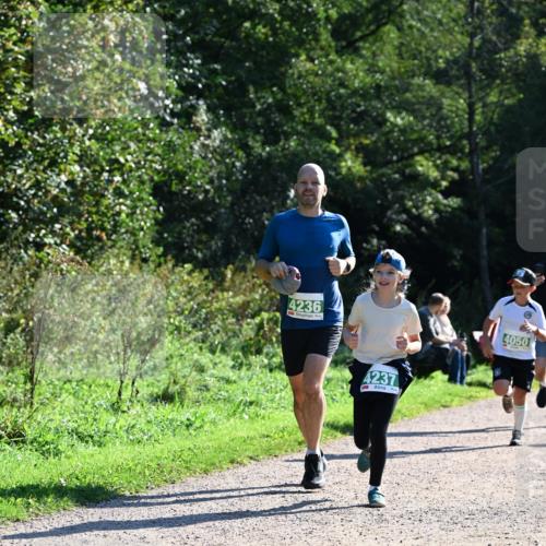 27.09.2026 - 35. Volkslauf durch das schöne Alstertal Dr. Thomas Lammeyer http://msf.ph/oto/10568889 27.09.2026 10:55:09 Laufen 4236, 4237, 4050 meine-sportfotos.de