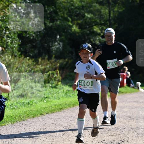 27.09.2026 - 35. Volkslauf durch das schöne Alstertal Dr. Thomas Lammeyer http://msf.ph/oto/10568900 27.09.2026 10:55:11 Laufen 405, 4050 meine-sportfotos.de