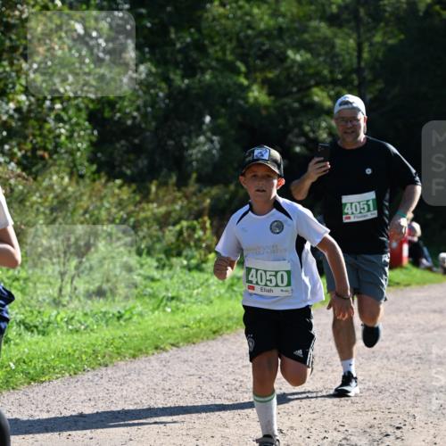 27.09.2026 - 35. Volkslauf durch das schöne Alstertal Dr. Thomas Lammeyer http://msf.ph/oto/10568901 27.09.2026 10:55:11 Laufen 4050, 4051 meine-sportfotos.de