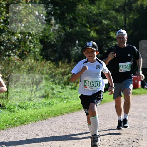 27.09.2026 - 35. Volkslauf durch das schöne Alstertal Dr. Thomas Lammeyer http://msf.ph/oto/10568902 27.09.2026 10:55:11 Laufen 4050, 4051 meine-sportfotos.de