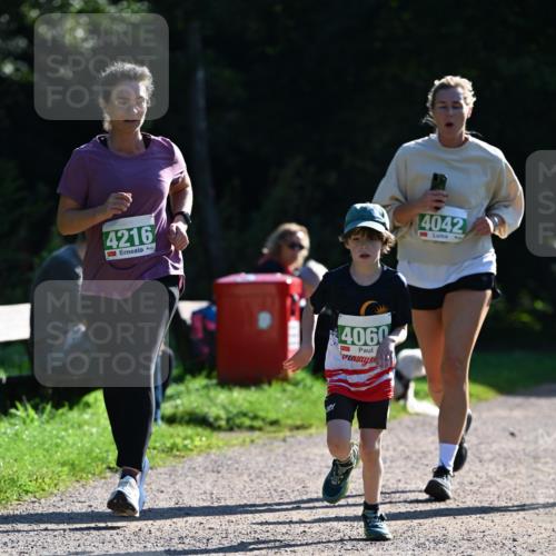 27.09.2026 - 35. Volkslauf durch das schöne Alstertal Dr. Thomas Lammeyer http://msf.ph/oto/10568916 27.09.2026 10:55:17 Laufen 4216, 4060, 4042 meine-sportfotos.de
