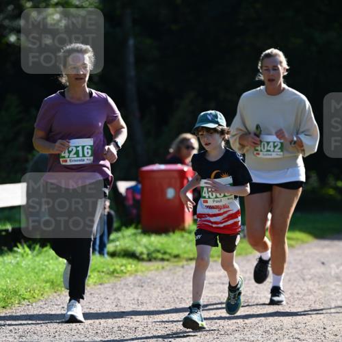 27.09.2026 - 35. Volkslauf durch das schöne Alstertal Dr. Thomas Lammeyer http://msf.ph/oto/10568917 27.09.2026 10:55:17 Laufen 4216, 400, 042 meine-sportfotos.de