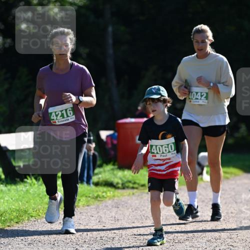 27.09.2026 - 35. Volkslauf durch das schöne Alstertal Dr. Thomas Lammeyer http://msf.ph/oto/10568918 27.09.2026 10:55:17 Laufen 4216, 4060, 4042 meine-sportfotos.de
