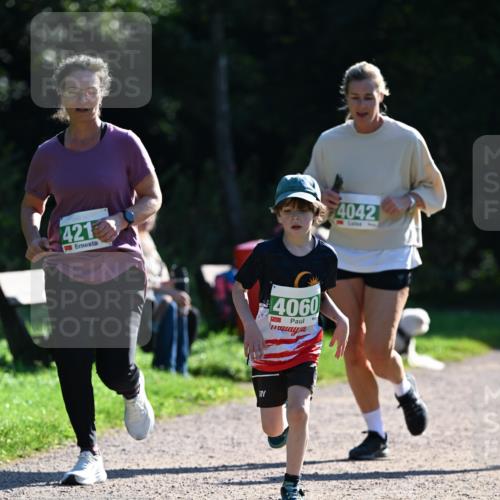 27.09.2026 - 35. Volkslauf durch das schöne Alstertal Dr. Thomas Lammeyer http://msf.ph/oto/10568921 27.09.2026 10:55:17 Laufen 421, 4060, 4042 meine-sportfotos.de