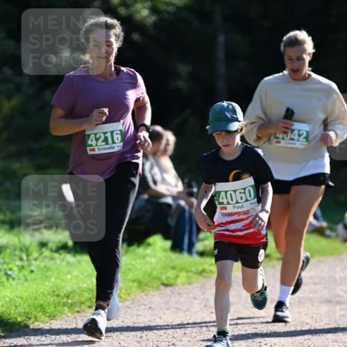 27.09.2026 - 35. Volkslauf durch das schöne Alstertal Dr. Thomas Lammeyer http://msf.ph/oto/10568923 27.09.2026 10:55:18 Laufen 4216, 4060, 4042 meine-sportfotos.de