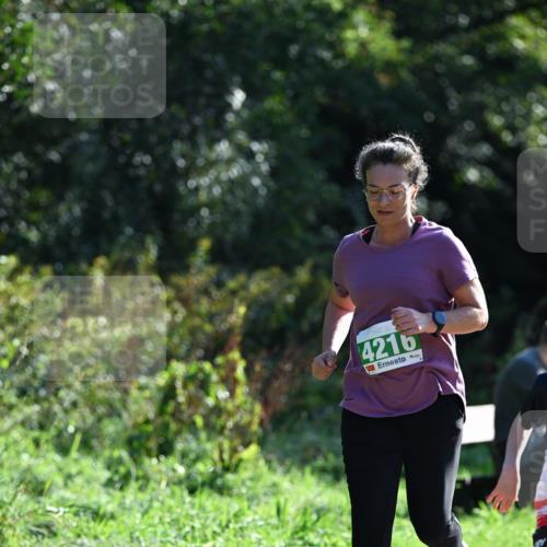 27.09.2026 - 35. Volkslauf durch das schöne Alstertal Dr. Thomas Lammeyer http://msf.ph/oto/10568926 27.09.2026 10:55:18 Laufen 4216 meine-sportfotos.de