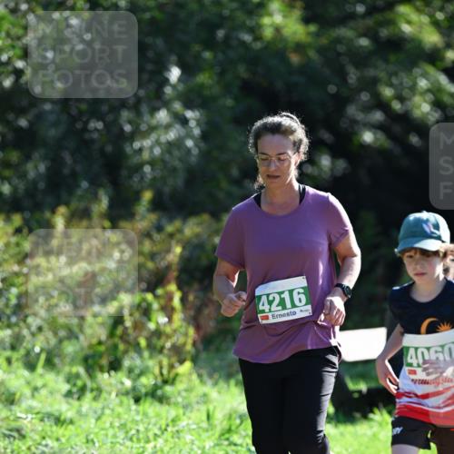 27.09.2026 - 35. Volkslauf durch das schöne Alstertal Dr. Thomas Lammeyer http://msf.ph/oto/10568927 27.09.2026 10:55:18 Laufen 4216, 4060 meine-sportfotos.de