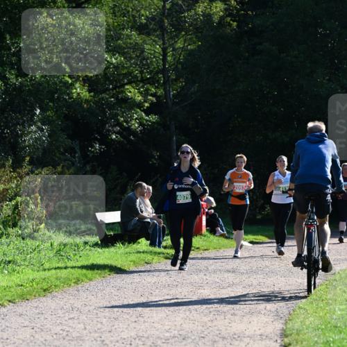 27.09.2026 - 35. Volkslauf durch das schöne Alstertal Dr. Thomas Lammeyer http://msf.ph/oto/10568943 27.09.2026 10:55:23 Laufen 4079, 2093 meine-sportfotos.de