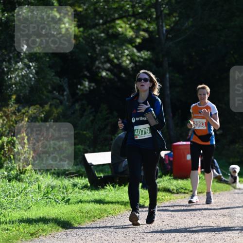 27.09.2026 - 35. Volkslauf durch das schöne Alstertal Dr. Thomas Lammeyer http://msf.ph/oto/10568952 27.09.2026 10:55:24 Laufen 4079, 2093 meine-sportfotos.de
