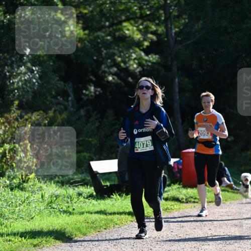 27.09.2026 - 35. Volkslauf durch das schöne Alstertal Dr. Thomas Lammeyer http://msf.ph/oto/10568953 27.09.2026 10:55:24 Laufen 4079, 2093 meine-sportfotos.de