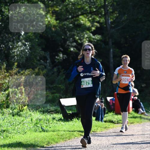 27.09.2026 - 35. Volkslauf durch das schöne Alstertal Dr. Thomas Lammeyer http://msf.ph/oto/10568956 27.09.2026 10:55:24 Laufen 4079, 2093 meine-sportfotos.de