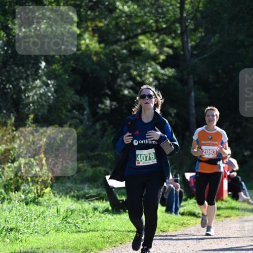27.09.2026 - 35. Volkslauf durch das schöne Alstertal Dr. Thomas Lammeyer http://msf.ph/oto/10568957 27.09.2026 10:55:24 Laufen 4079, 2093 meine-sportfotos.de