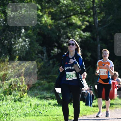 27.09.2026 - 35. Volkslauf durch das schöne Alstertal Dr. Thomas Lammeyer http://msf.ph/oto/10568959 27.09.2026 10:55:24 Laufen 4079, 2093 meine-sportfotos.de