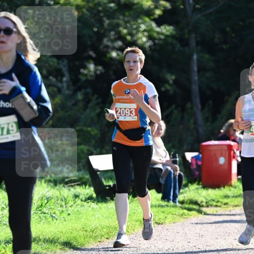 27.09.2026 - 35. Volkslauf durch das schöne Alstertal Dr. Thomas Lammeyer http://msf.ph/oto/10568969 27.09.2026 10:55:26 Laufen 79, 2093 meine-sportfotos.de