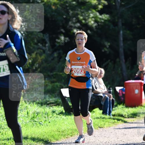 27.09.2026 - 35. Volkslauf durch das schöne Alstertal Dr. Thomas Lammeyer http://msf.ph/oto/10568970 27.09.2026 10:55:26 Laufen 79, 2093 meine-sportfotos.de
