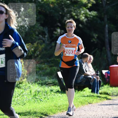27.09.2026 - 35. Volkslauf durch das schöne Alstertal Dr. Thomas Lammeyer http://msf.ph/oto/10568972 27.09.2026 10:55:26 Laufen 79, 2093 meine-sportfotos.de